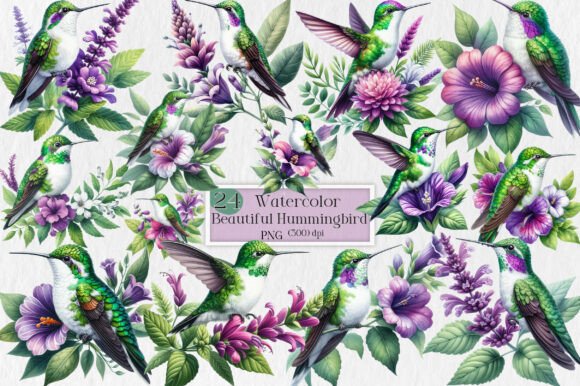 Beautiful Hummingbird Watercolor Clipart for Designers